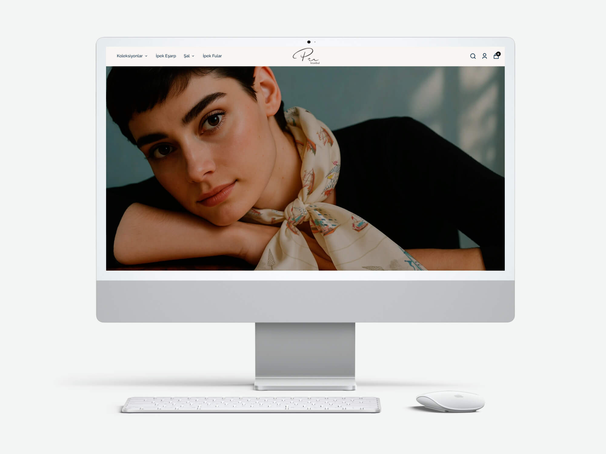 Pir İstanbul web sitesi