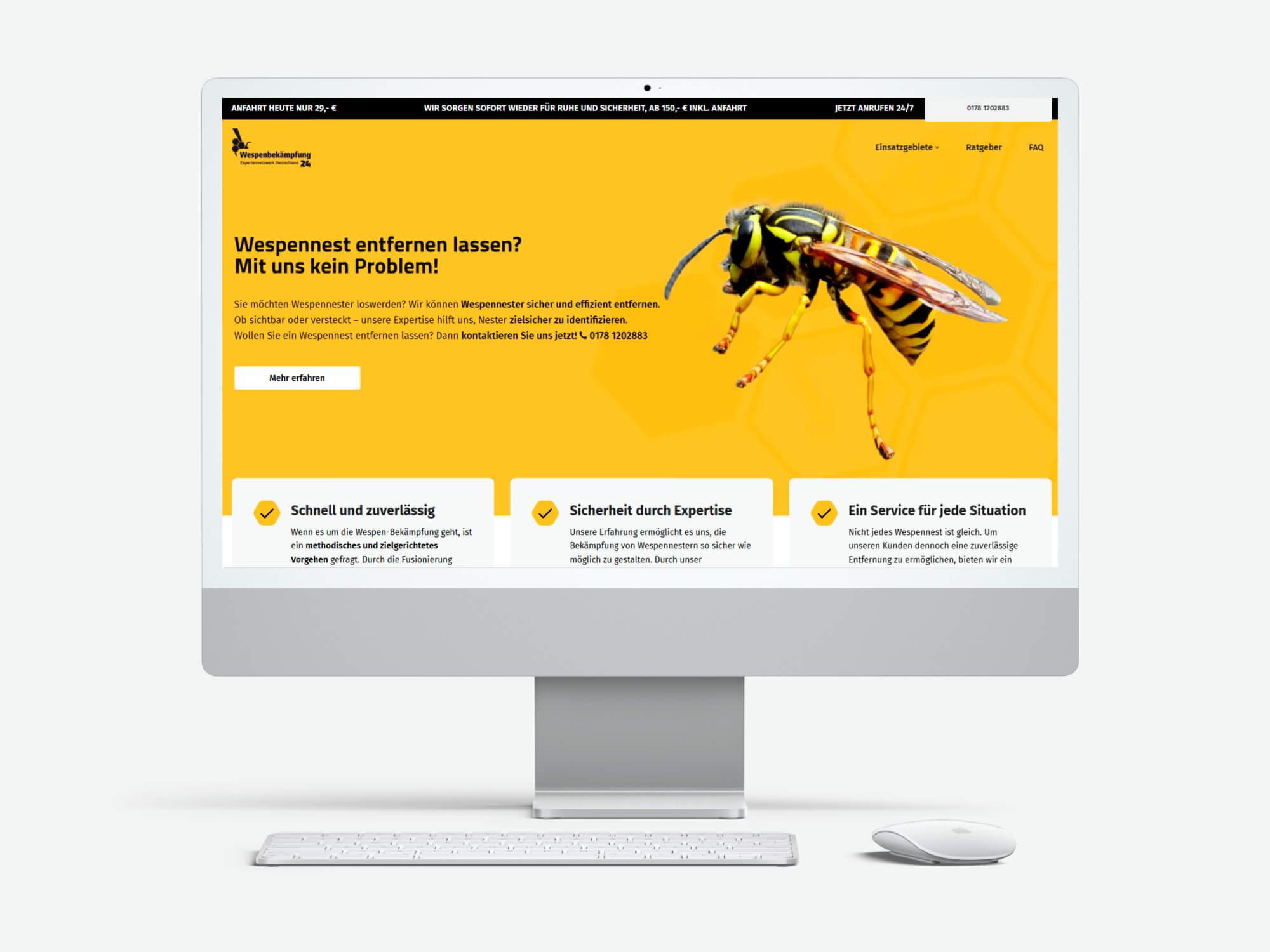 Wespenbekämpfung 24 web sitesi
